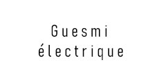 Guesmi electrique